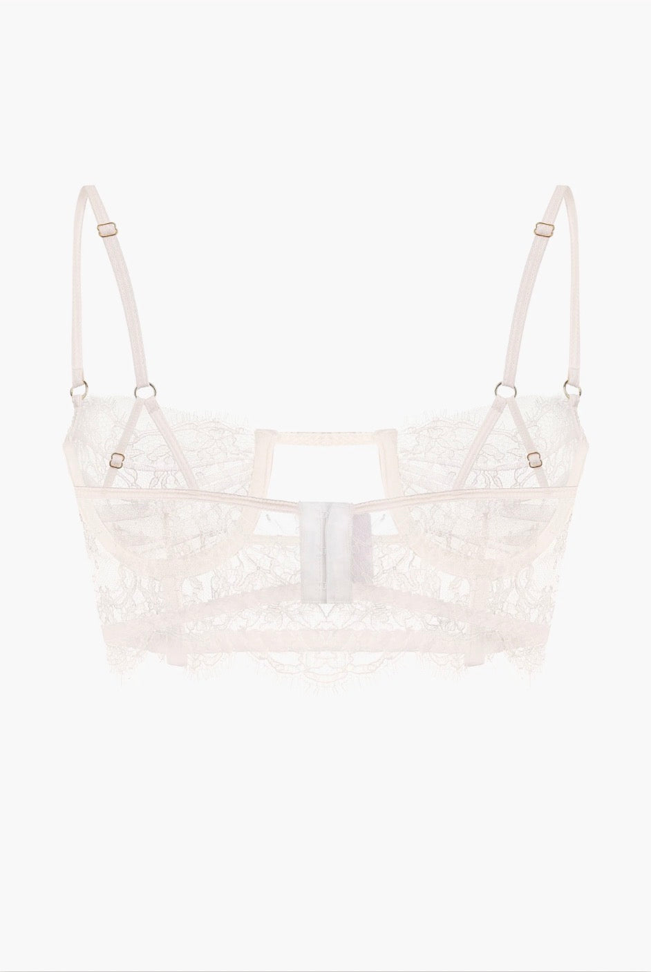 Obsession Lace and Mesh Bustier in Ivory