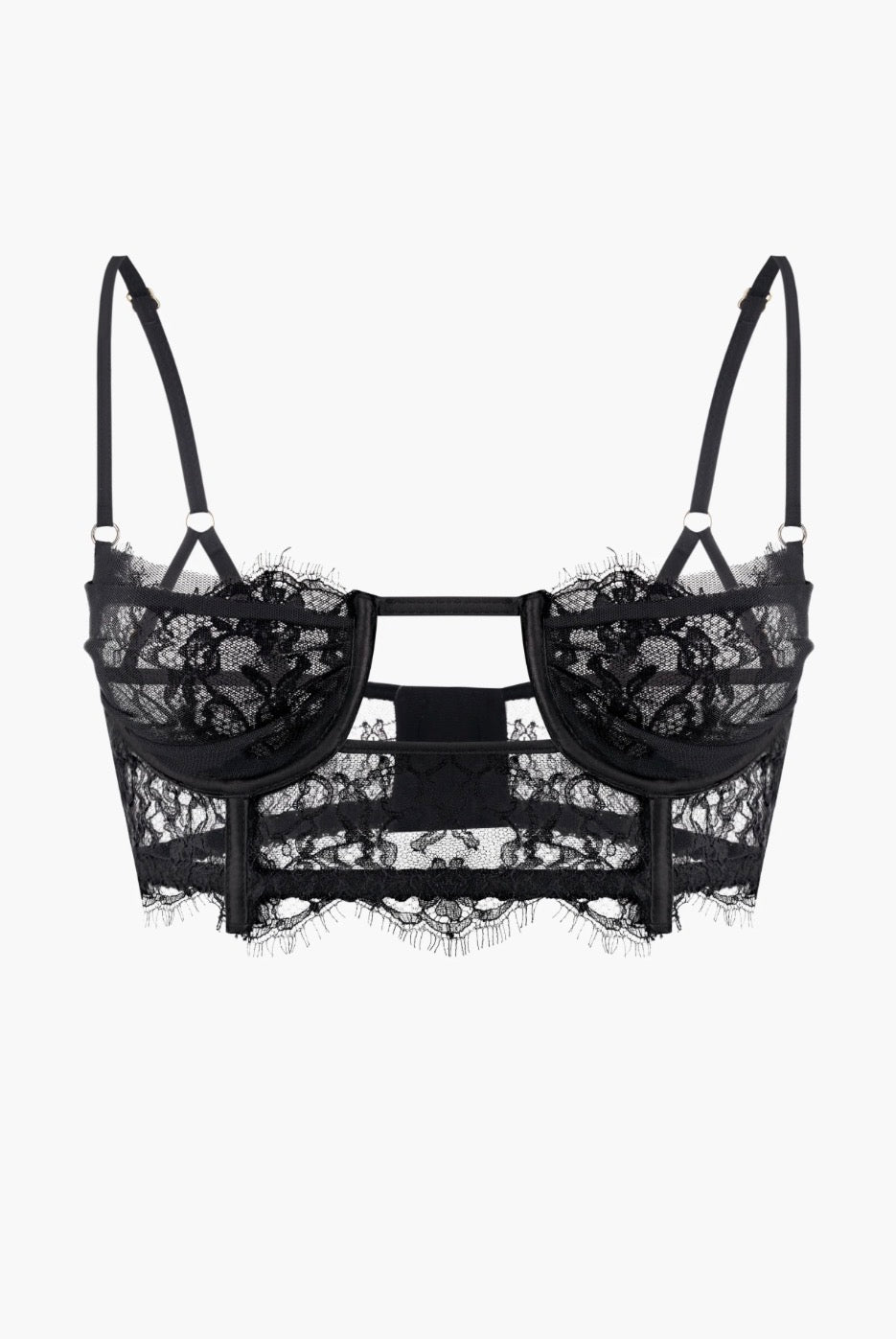 Obsession Lace and Mesh Bustier in Black